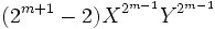 (2^{m+1}-2){X^{2^{m-1}}Y^{2^{m-1}}} 