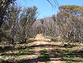Namadgi National Park walking trail.jpg