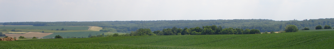 Panorama de la forêt domaniale d'Hesdin depuis le GR121 à Contes.