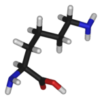 Structure chimique de la lysine