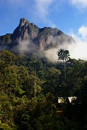 Un camp au coeur de la forêt tropicale humide, avec une falaise abrupte devant lui.