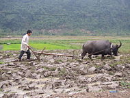 Image illustrative de l'article Économie du Viêt Nam
