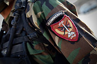 Afghan Commandos shoulder patch-2.jpg