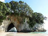 Cathedral cove Arch.JPG