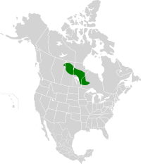 Midwestern Canadian Shield forests map.svg