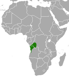  Carte de l'Afrique avec une tache verte à cheval sur l'Angola et le Congo
