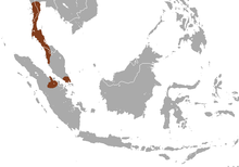 Carte d'Asie du Sud-Est avec une zone marron sur la péninsule malaise et Sumatra