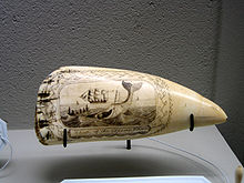 Dent de cachalot exposée sur un présentoir, sur laquelle est gravée une scène de chasse, avec un baleinier en arrière-plan et une baleinière aux côtés d'un cachalot harponné au premier plan.