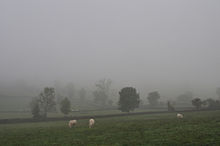 La photographie couleur montre un paysage dans le brouillard. Le vert des prés se fond dans un dégradé vers le gris du ciel. Dans cette trame floue apparaissent les taches sombres des arbres et haies et les taches claires de vaches blanches.