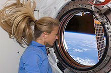 STS-124 Karen window.jpg