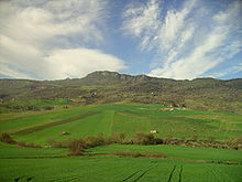 paysage typique de Sicile