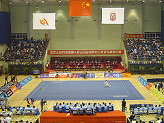 Le 10ème championnat de Chine de Wushu