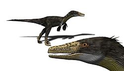 Austroraptor cabazai (vue d'artiste)