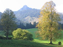 Le Brünnstein vu du sud-ouest