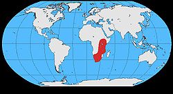 Corvus albicollis map.jpg