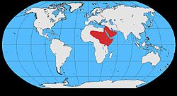 Corvus rhipidurus map.jpg