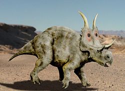  Reconstitution de Diabloceratops eatoni