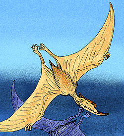  Dsungaripterus weii