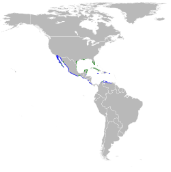 Egretta rufescens map.svg