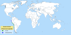 Guanay cormorant distribution map.svg