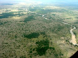 Vue aérienne de la Mara dans le Masai Mara, Kenya