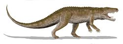  Ornithosuchus longidens