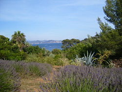 Parc du Mugel La Ciotat Provence 552.JPG