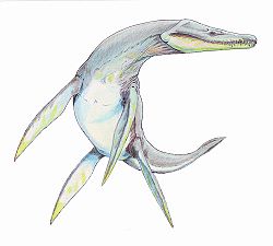 Représentation de Rhomaleosaurus