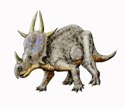  Reconstitution de Rubeosaurus ovatus