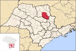Région Microrégion de Ribeirão Preto