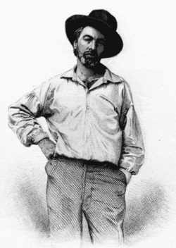 Walt Whitman à 37 ans, frontispice du recueil Leaves of Grass, Fulton St., Brooklyn, N.Y., gravure de Samuel Hollyer inspirée d'un daguerréotype non conservé de Gabriel Harrison
