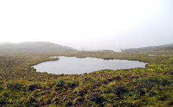 Le petit lac Waiʻaleʻale a donné son nom au mont Waiʻaleʻale où il se trouve.