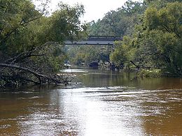 Le fleuve Ochlockonee, au nord-ouest de Tallahassee.