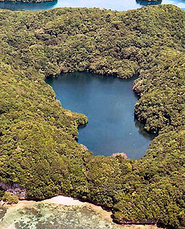 Vue aérienne du lac aux Méduses.