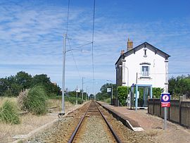 Vue générale sur la gare, dénommée « station d'Olonne ».