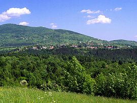 Vrbovsko Panorama.jpg