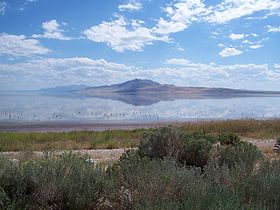 Image illustrative de l'article Parc d'État d'Antelope Island