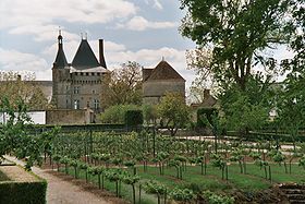 Image illustrative de l'article Château de Talcy