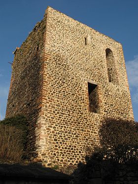 Image illustrative de l'article Château de Chamelet