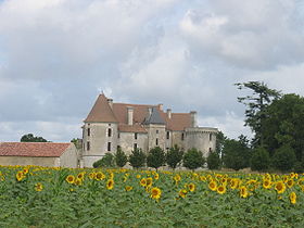 Image illustrative de l'article Château de Rioux
