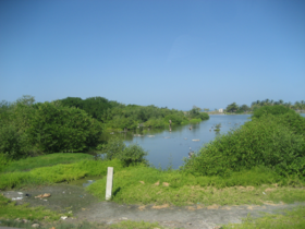 Image illustrative de l'article Sanctuaire de faune et de flore du grand marais de Santa Marta