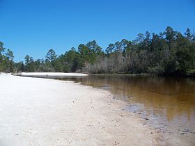 Image illustrative de l'article Parc d'État de Blackwater River