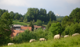 Le centre du bourg principal de la commune de Mouriez vu du chemin rural dit « de Douai ».