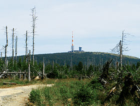 Image illustrative de l'article Parc national du Harz