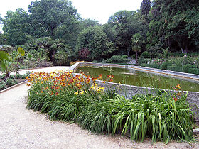 Image illustrative de l'article Jardin botanique Nikitski