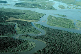 Rivière Noatak