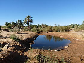 L'oasis en janvier 2009
