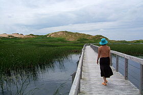 Image illustrative de l'article Parc national de l'Île-du-Prince-Édouard