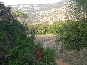 Image illustrative de l'article Réserve naturelle du Monte Pellegrino
