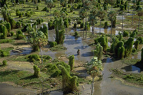 Image illustrative de l'article Parc national Río Pilcomayo